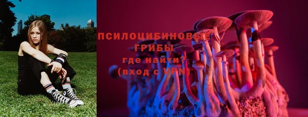 мяу мяу мука Горняк