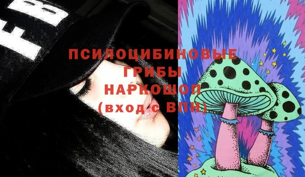 мяу мяу мука Горно-Алтайск