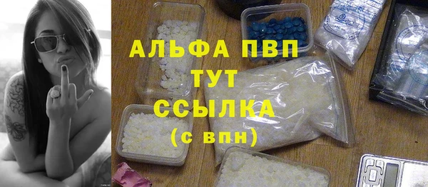 мяу мяу мука Горно-Алтайск