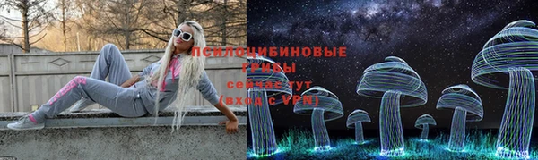 MDMA Premium VHQ Горнозаводск