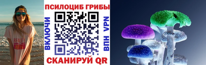 Галлюциногенные грибы Psilocybe  Купить  Павлово 