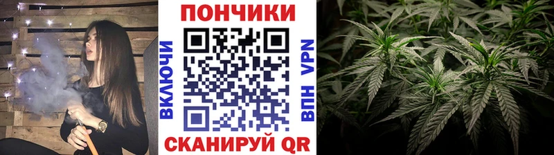 Конопля планчик  Купить где  Павлово 